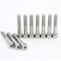 Gr5 Titanium Bolts for Motorcycle