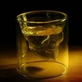 Double Wall Cool Crystal Skull Shot Glass Drink Wine Cup for A Whiskey Halloween