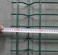 Home Garden Factory Trellis PVC Folding Welded v 3d Wire Mesh Fence for Sale   3