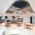 Acoustic Ceiling Cloud in Working Space 2
