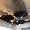 Acoustic Ceiling Baffle in Working Space