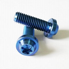 Factory supply Gr5 titanium bolts for motorcycle