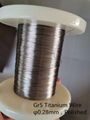 ASTM B863 Titanium Wire  3