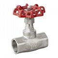 Globe valve 2