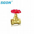 Globe valve 3