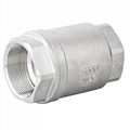 Vertical Lift check valve 2