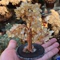 Natural Quartz Gemstone Crystal Tree with Agate Base 5