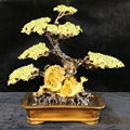 Amethyst Citrine Crystal Gem Tree for