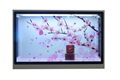 Xinyan Transparent interactive LCD