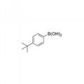 tert-Butylphenylboronic acid CAS