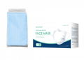 Disposable Surgical Face Mask (C010.