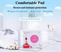 Ms pads Free Samples OEM Feminine Mini 155mm/180mm Panty liner  5