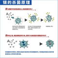 Inorganic silver ion antibacterial masterbatch