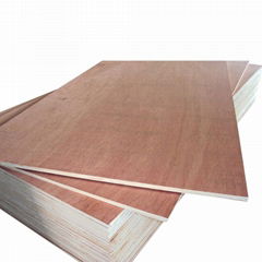 Commercial Plywood