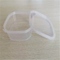  Disposable Pet Plastic Packaging Box 1