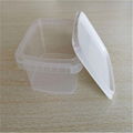 China plastic lunch box manufacturer 1