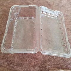 Disposable PET lunch boxes Manufacturer