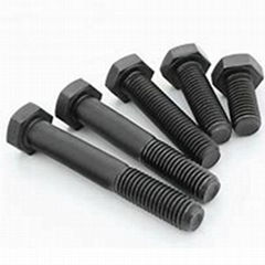 Supply high quality Bolt and Nut with