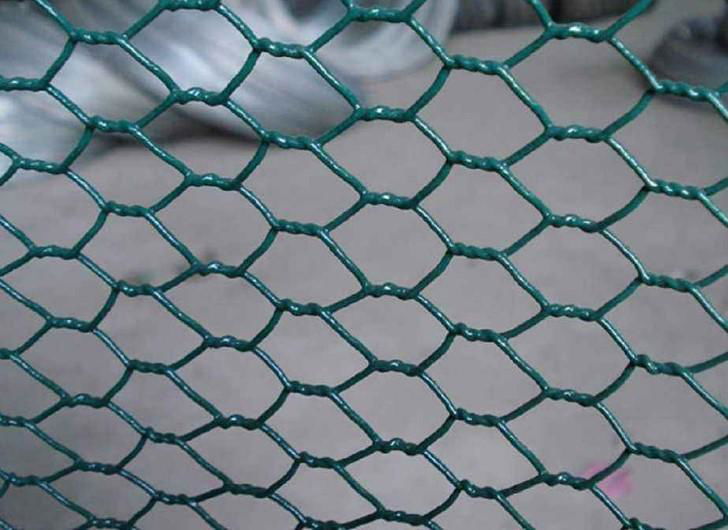 Hexagonal Wire Mesh