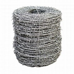 Barbed Wire Galvanized