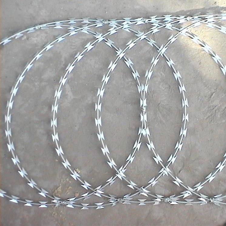 Barbed Wire Galvanized 2