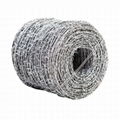 Barbed Wire Galvanized 3