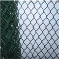 PVC Chain Link Fence 2