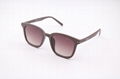 Aping 6117 High quality sunglasses fashion design acetate frame shades unisex