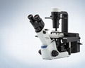 倒置显微镜CKX53 1
