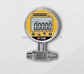 Digital differential pressure gauge switch