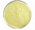 Light-Yellow Powder DL-thioctic acid Alpha Lipoic Acid CAS 1077-28-7 3