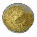 Alpha Lipoic Acid DL-thioctic acid Powder CAS: 1077-28-7 4