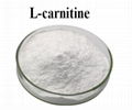 High Purity CAS 541-15-1 L-Carnitine Powder Amino Acid L-Carnitine Food Grade 1