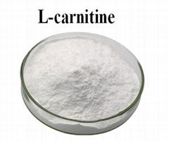 High Purity CAS 541-15-1 L-Carnitine Powder Amino Acid L-Carnitine Food Grade