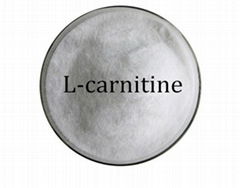 High Quality L-Carnitine CAS 541-15-1 for Feed Additives