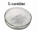 Wholesale Price L-Carnitine 99% 50% Bulk Price CAS No. 541-15-1 1
