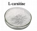 Feed Additives Ingredient Weight Loss L-Carnitine Base CAS 541-15-1