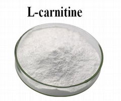 L-Carnitine 99% Powder 541-15-1 Food Grade Feed Grade