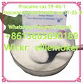 Cas 51-05-8 Procaine Hydrochloride , Cas