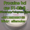 Cas 51-05-8 Procaine Hydrochloride , Cas 59-46-1 procaine  3
