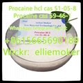 Cas 51-05-8 Procaine Hydrochloride , Cas 59-46-1 procaine  5