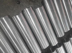 Duplex stainless steel