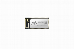 MuYuModule Small Bluetooth 5.0 Dual Mode Module