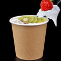 Bamboo Pulp Soup Paper Cup