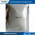 201*7 Strong Base Anion Exchange Resin 4