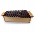 37 Tone Red Wood Xylophone with Stand professional use