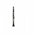 Bb Tune 20 Keys German Style Bakelite Clarinet
