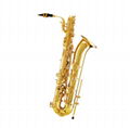 Brass Instrument Cheap Silver Alto Saxophone