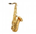 Brass Instrument Cheap Silver Alto Saxophone
