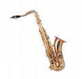 Brass Instrument Cheap Silver Alto Saxophone